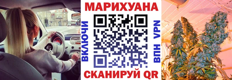 МЕФ Елец