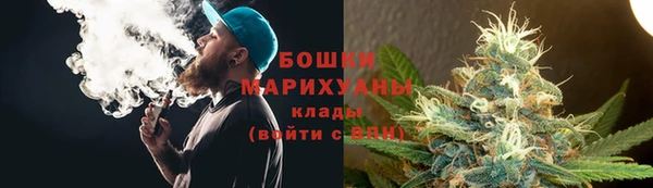 трава Вязьма