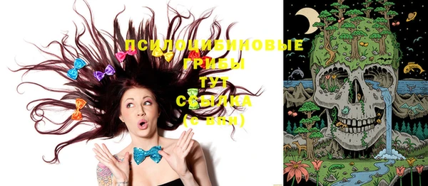 трава Вязьма