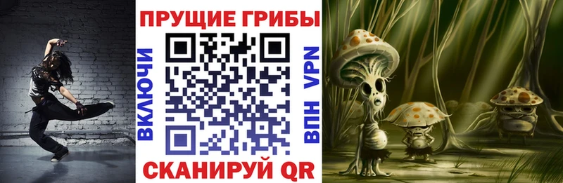 Галлюциногенные грибы Psilocybine cubensis  Елец 