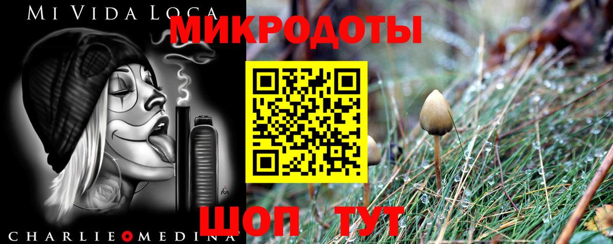Галлюциногенные грибы Magic Shrooms Елец